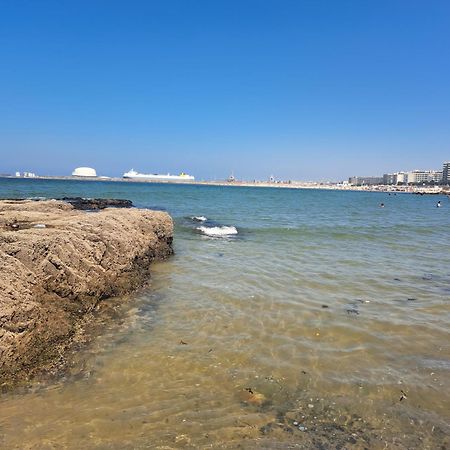 Matosinhos Relax And Fun By Portoproperties4You Exteriör bild